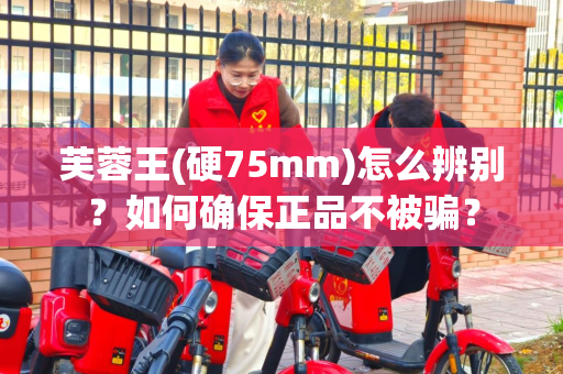 芙蓉王(硬75mm)怎么辨别？如何确保正品不被骗？